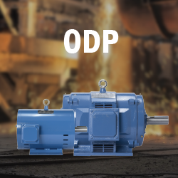 Galt Electric ODP Motors