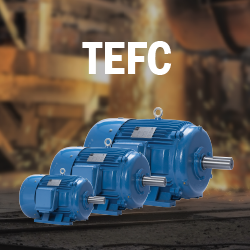 Galt Electric TEFC Motors